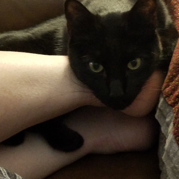 🔥 ➡️ 25% OR MORE OFF ALL BUNDLES of 2+ ITEMS‼️ - Picture 4 of 8